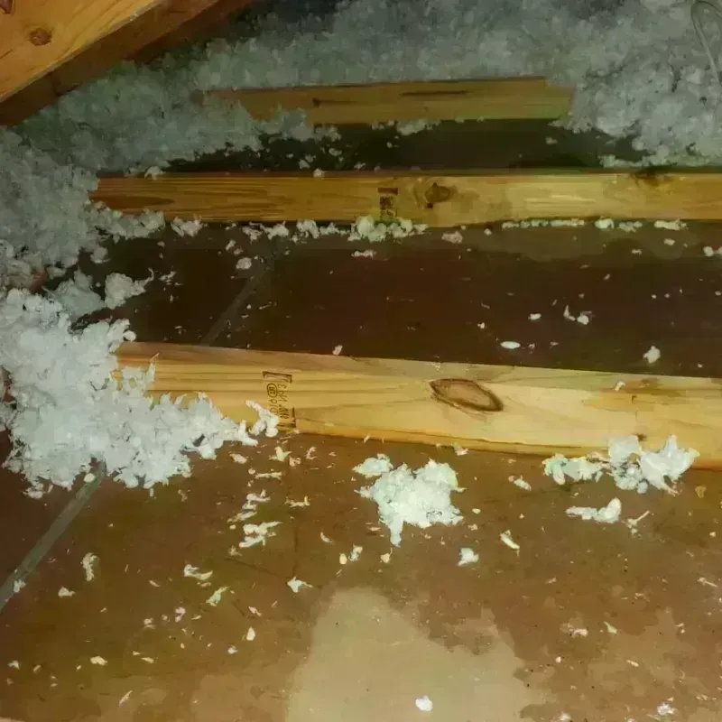 Attic Water Damage in Leadville North, CO