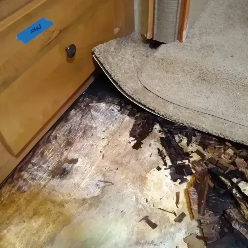 Wood Floor Water Damage in Leadville North, CO